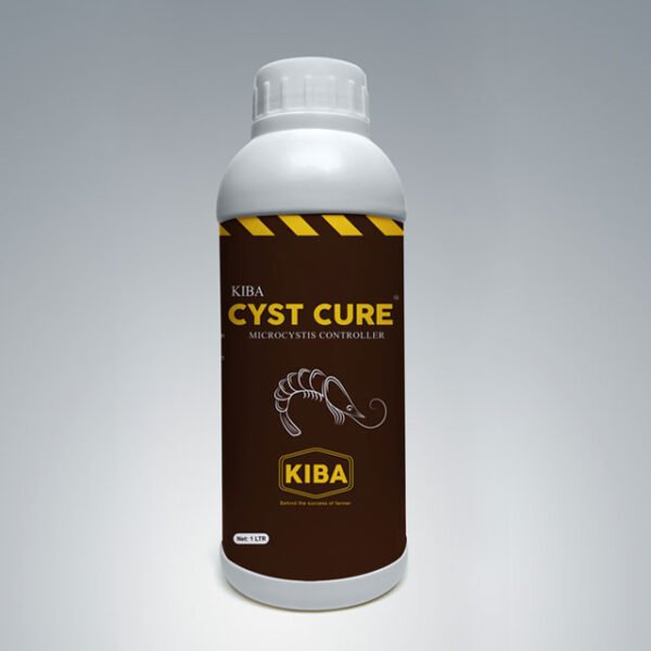 KIBA CYST CURE